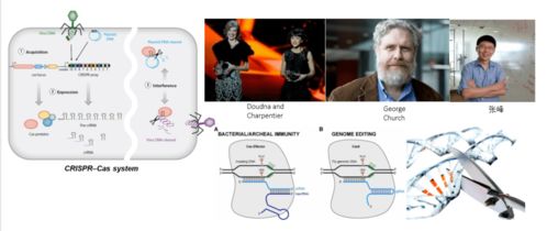产业风口下的生物药开发与技术热点——百奥赛图大会协办聚焦医学研究与试验发展