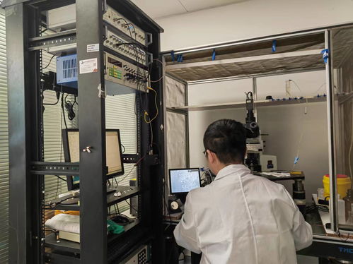 江西科研团队在焦虑障碍研究领域取得新进展