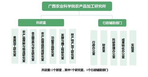 跨界融合 广西农科院农产品加工研究所的医学研究与试验发展新路径
