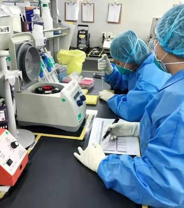 华大基因研发新冠病毒快速检测试剂盒，3小时精准出结果