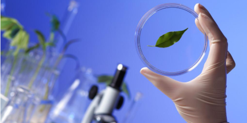 生物学领域的高影响力SCI杂志推荐与医学研究发展概览