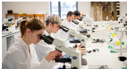 重庆生物医学工程专业的就业前景怎么样?